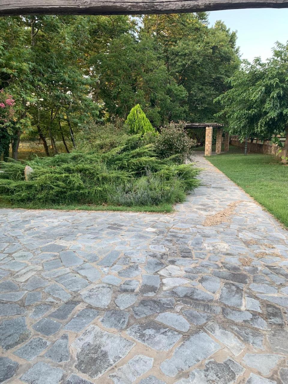Platanorema Agios Ioannis Prodromos Exteriör bild