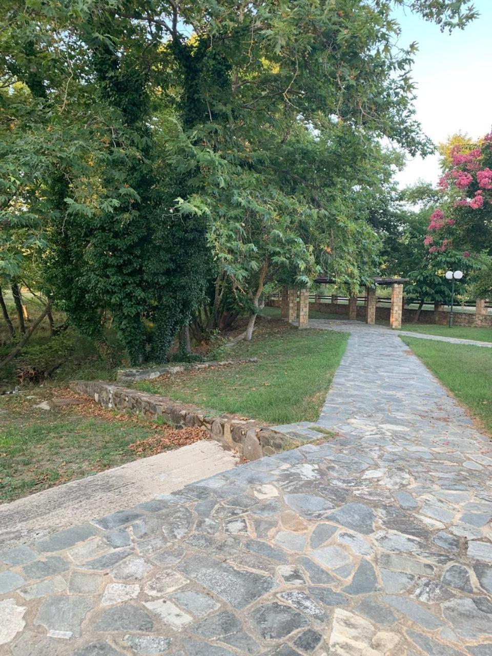 Platanorema Agios Ioannis Prodromos Exteriör bild